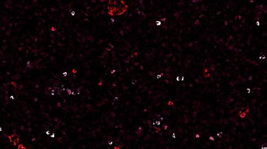 Soyut arkaplan. monokrom dokusu. resim siyah ve beyaz tonları içerir.