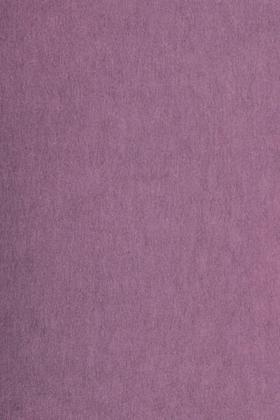 Purple Paper Texture Background — Stock Photo, Image