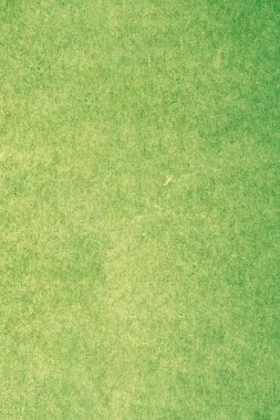 yeşil çimen dokusu arkaplanı
