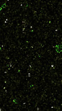 Yeşil ve siyah rengin soyut arkaplanı