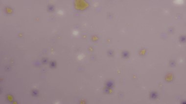 Renkli soyut şablon arkaplanını kapat.