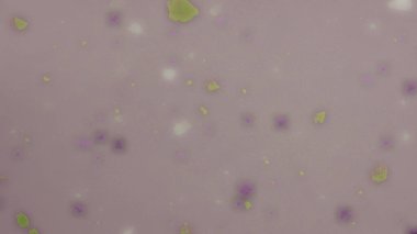 Bokeh ile renkli arkaplan