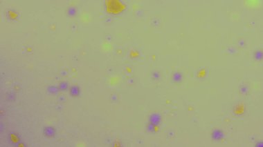 abstract background of colorful liquid paints in water