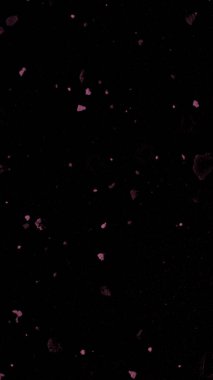 Siyah ve beyaz bir gülün soyut arkaplanı