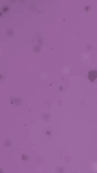 Acuarela Púrpura Pintura Textura Fondo Abstracto — Foto de Stock