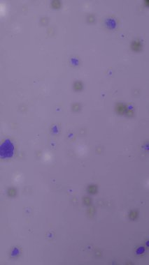 Mikroskop ile bir hücrenin mikroskobik fotoğrafı 