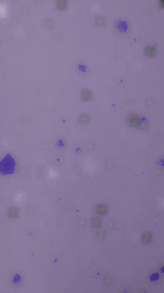 Mikroskopická Fotografie Buňky Mikroskopem — Stock fotografie