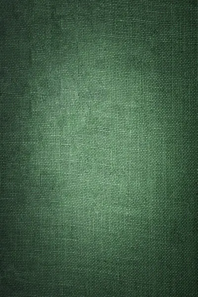 Фон Зеленої Шкіри Текстури — стокове фото