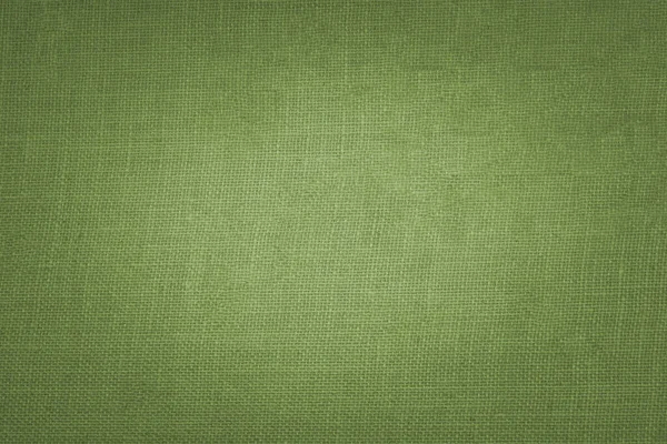 緑の革の背景や質感 — ストック写真