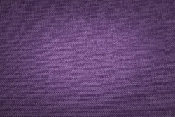 Textura Cuero Violeta Primer Plano Fondo — Foto de Stock