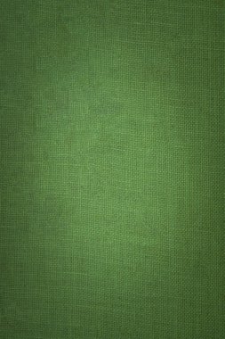 yeşil deri arka plan. Doku. yüksek kaliteli fotoğraf