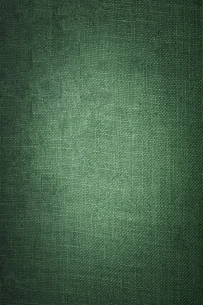 Green Leather Texture Useful Background — Stock Photo, Image