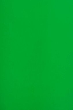 Plastik yaprağın yeşil dokusu