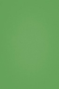 Abstract textured background with fine details