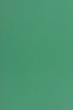Grafik tasarımı için yeşil kağıt arkaplanı.