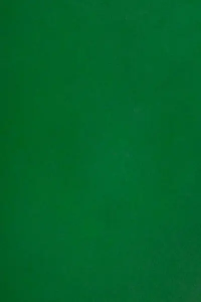 Detailní Záběr Textury Zelené Kůže — Stock fotografie