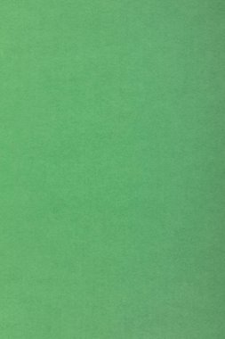 arkaplan olarak kullanışlı yeşil desenli kağıt