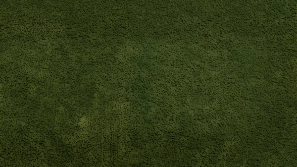 yeşil çimen dokusu ve arkaplan