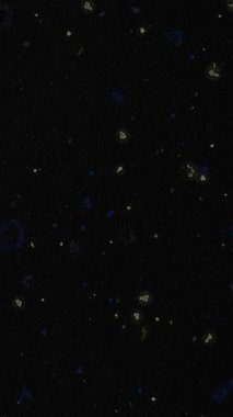 abstract dark background with space for text