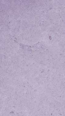 Soyut Mor Arkaplan Dokusu