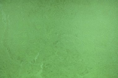 yeşil dekoratif alçı veya beton dokusu