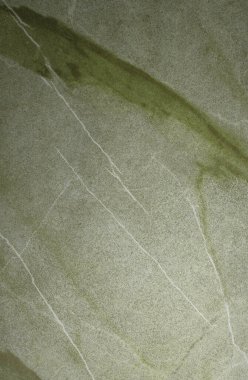 yeşil yaprak arkaplanı, grunge dokusu