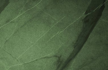 Doğal desenli koyu yeşil mermer arkaplan.