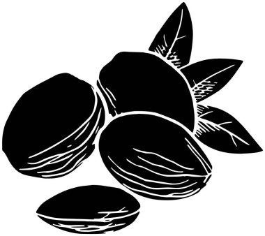Badem ikonu meyve logosu ağaç illüstrasyon bitkisi doğa vektörü silueti ve yaprak şekli bahçe kadar doğal yeşil fındık grafik gıda arka planı flora veya tarımın organik