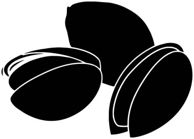 Şam fıstığı ikonu ya da yaprak illüstrasyon yiyeceği logosu. Bitki silueti ve tohum ağacı. Yapraklar meyve vektörü organik arka plan sağlıklı sanat şam fıstıkları.