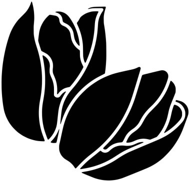 Şam fıstığı ikonu ya da yaprak illüstrasyon yiyeceği logosu. Bitki silueti ve tohum ağacı. Yapraklar meyve vektörü organik arka plan sağlıklı sanat şam fıstıkları.