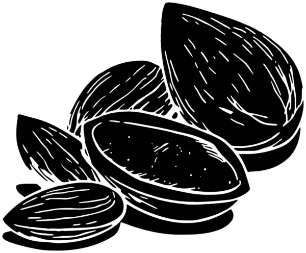 Badem ikonu meyve logosu ağaç illüstrasyon bitkisi doğa vektörü silueti ve yaprak şekli bahçe kadar doğal yeşil fındık grafik gıda arka planı flora veya tarımın organik