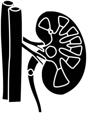 Böbrek illüstrasyonu logo hastalığı taşıyıcı organ veya taş nakli sağlık ilaçları insan sağlığı ürolojisi sağlıklı böbrek iç kanser idrar tedavisi grafikleri