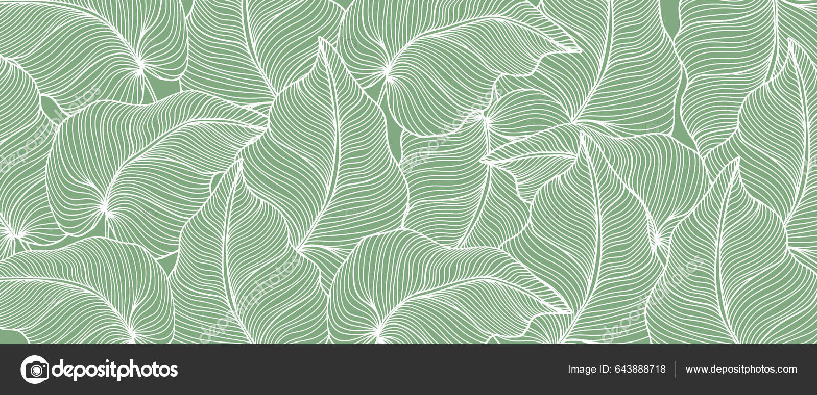 Vector Green Tropical Background Palm Leaves Decor Covers.