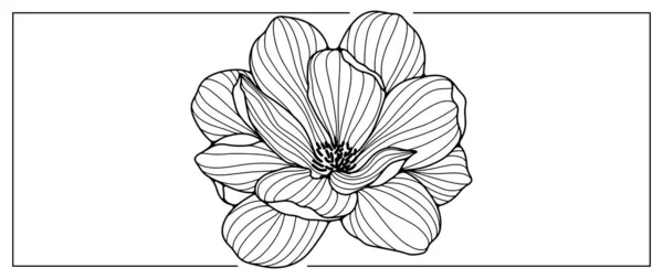 Schwarz Weiße Lotus Vektorillustration Für Dekor Cover Hintergründe Präsentationen Und — Stockvektor