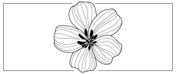 Schwarz Weiße Vektorillustration Einer Blume Für Cover Hintergründe Präsentationen Malbücher — Stockvektor