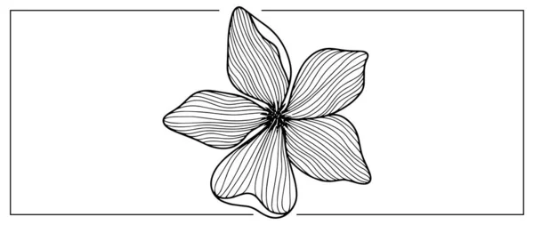 プレゼンテーション 着色本のための花の黒と白のベクトルイラスト — ストックベクタ