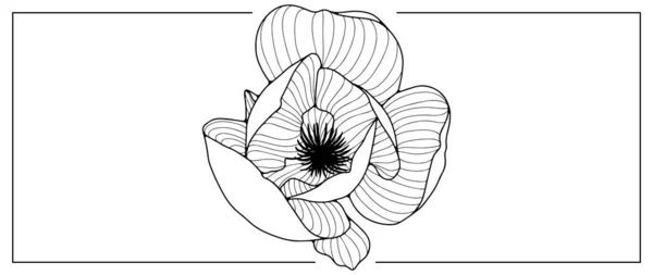 Schwarz Weiße Vektorillustration Der Magnolienblüte Zum Ausmalen Von Büchern Hintergründen — Stockvektor