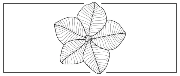 Schwarz Weiß Florale Vektorillustration Zum Ausmalen Von Büchern Hintergründen Einbänden — Stockvektor