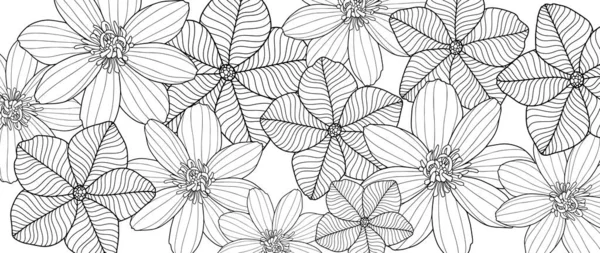 Černobílé Vektorové Květinové Ilustrace Květinami Pro Dekoraci Omalovánky Obaly Pohlednice — Stockový vektor