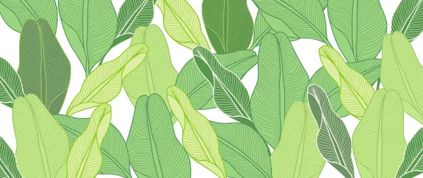 Vector Tropical Illustration Green Banana Leaves Isolated White Background Decor — Stock Vector