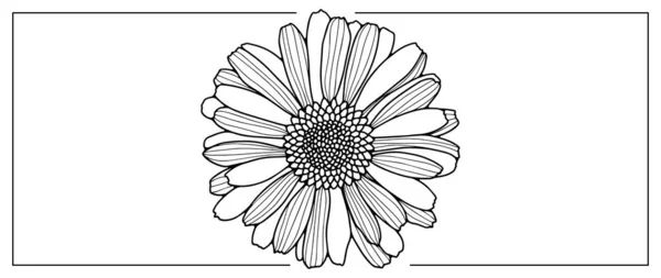 カバー 壁紙やプレゼンテーションを着色するためのカレンダーの花の黒と白のベクトル図 — ストックベクタ