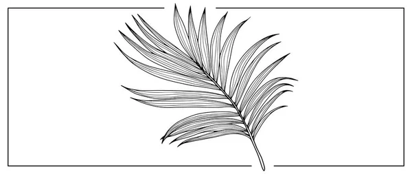 Zwart Wit Vector Illustratie Met Groot Palmblad Lijn Art Stijl — Stockvector