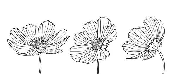 Schwarz Weiße Vektorillustration Mit Drei Blumen Verschiedenen Winkeln Linienstil Illustrationen — Stockvektor