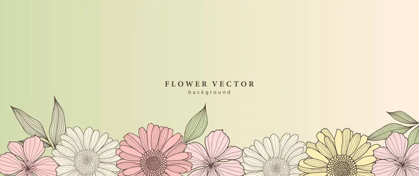 Fond Floral Vectoriel Clair Avec Marguerites Roses Calendula Contexte Pour — Image vectorielle
