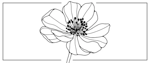 Schwarzweiß Vektorflorale Illustration Zum Ausmalen Von Büchern Dekorationen Einbänden Dekoren — Stockvektor