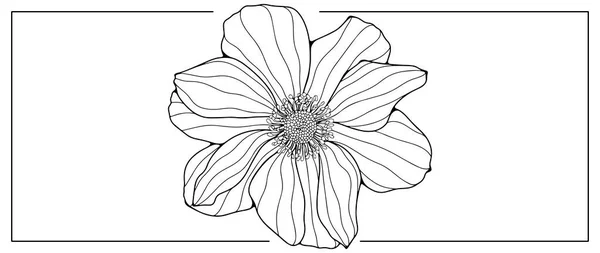 カバー カードやプレゼンテーションを着色するための黒と白のベクトルの花のイラスト — ストックベクタ