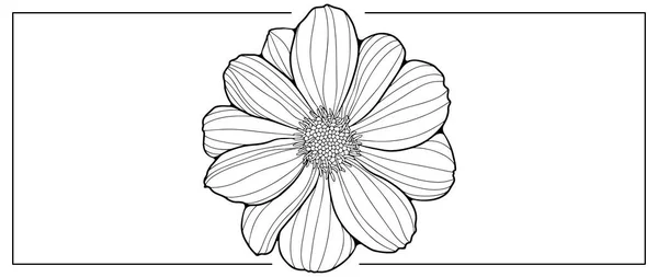 カバー カードやプレゼンテーションを着色するための黒と白のベクトルの花のイラスト — ストックベクタ