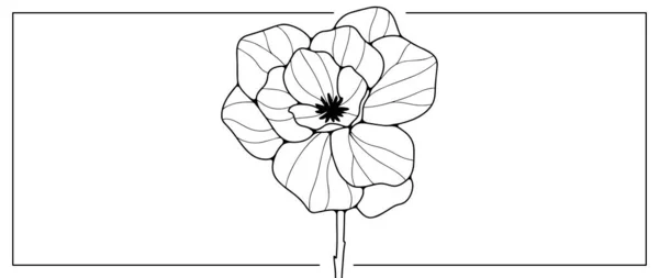 Schwarz Weiße Florale Illustration Mit Üppiger Blume Illustrationen Für Malbücher — Stockvektor