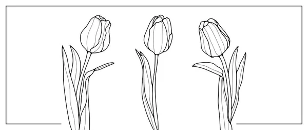 Ilustração Floral Vetor Preto Branco Com Três Tulipas Delicadas Ilustração —  Vetores de Stock