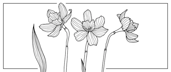 Ilustração Floral Preto Branco Com Três Flores Bonitos Ilustração Para —  Vetores de Stock
